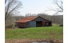Property photo 24 - 137 Acres in 2 Tracts - 64 Tillable Acres, Potential Building Sites, Hunting